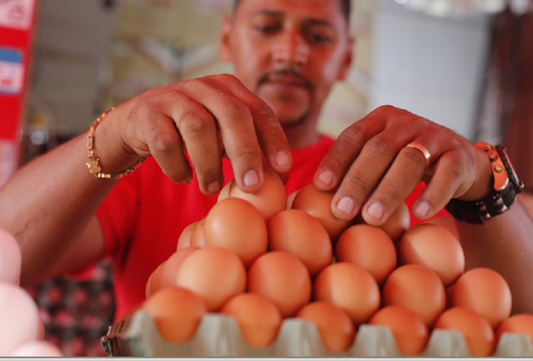 Preço do ovo em Salvador sofre aumento de até 30% em um mês