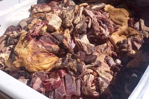 Uma tonelada de carne imprópria para consumo é apreendida na BA
