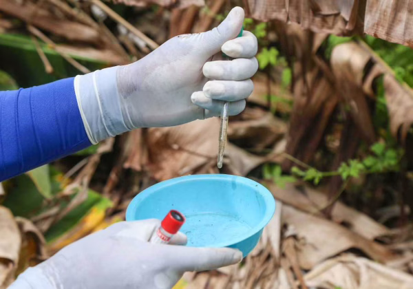 Casos de dengue grave aumentam 168% no estado