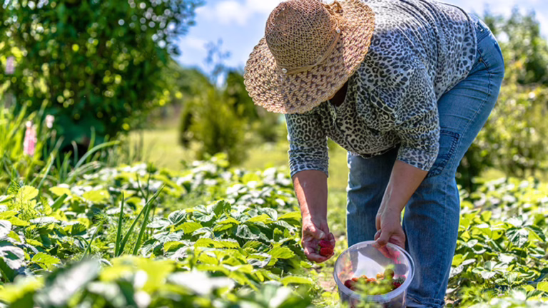 Agricultura familiar é 8ª maior produtora de alimentos do mundo