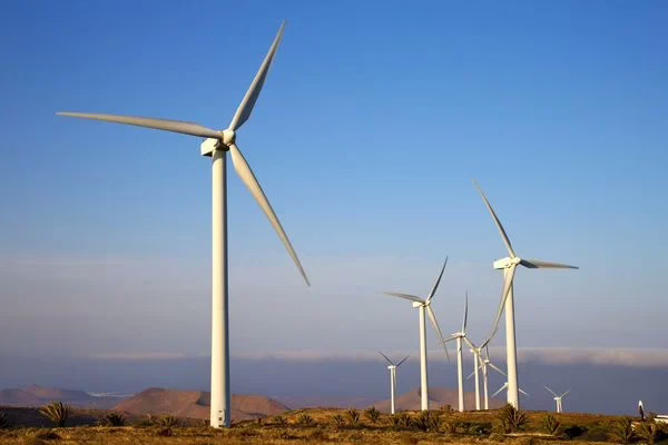 Fábrica de aerogeradores da Goldwind será instalada em Camaçari