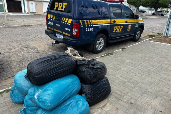 PRF apreende 94 Kg de maconha após motorista tentar fugir no norte da Bahia