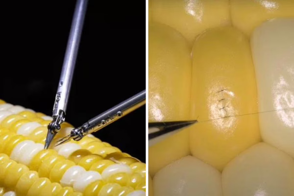 Novo robô de microcirurgia costura um grão de milho em demonstração