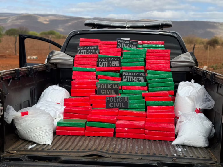 Polícia realiza maior apreensão de cocaína no ano; carga é avaliada em R$ 11 milhões