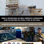Polícia Militar e Secretaria de Meio Ambiente apreendem aves silvestres em feira de Rio Real