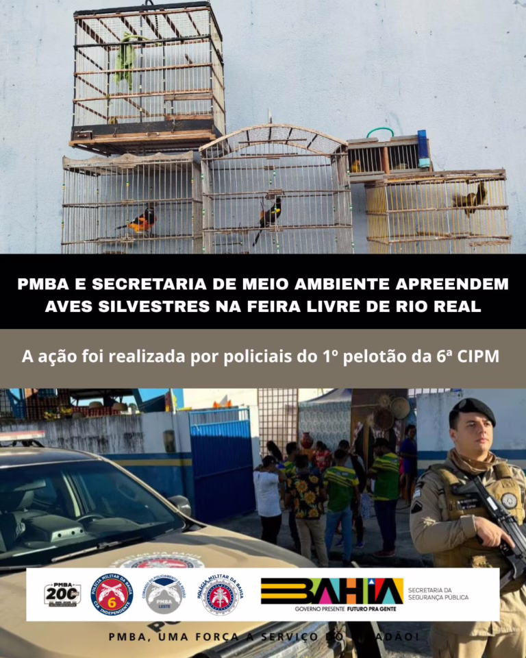 Polícia Militar e Secretaria de Meio Ambiente apreendem aves silvestres em feira de Rio Real