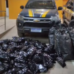 PRF apreende 109 kg de maconha na Bahia e prende dois motoristas; um dos carros funcionava como “batedor”