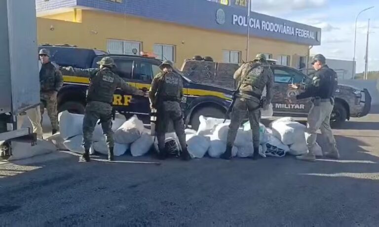 Mais de meia tonelada de maconha é apreendida em caminhão na Bahia