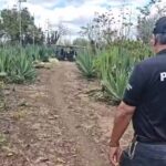 Suspeito de abusar sexualmente da filha é preso na Bahia