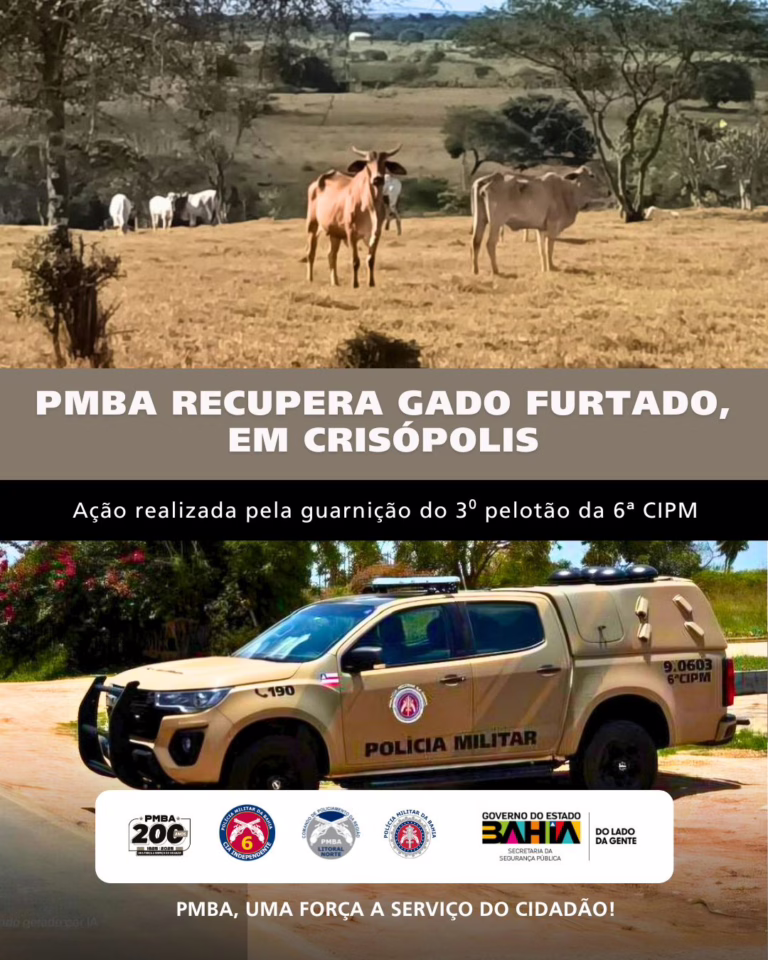 Gado é furtado em Aporá e recuperado pela PM horas depois na zona rural de Crisópolis