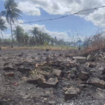 Incêndio em vegetação causa transtornos na Travessa Góes Calmon, em Acajutiba
