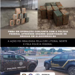 Polícia apreende quase 300 kg de cocaína em operação conjunta em Alagoinhas