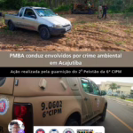 PM flagra três homens em desmatamento irregular às margens de rodovia entre Acajutiba e Esplanada